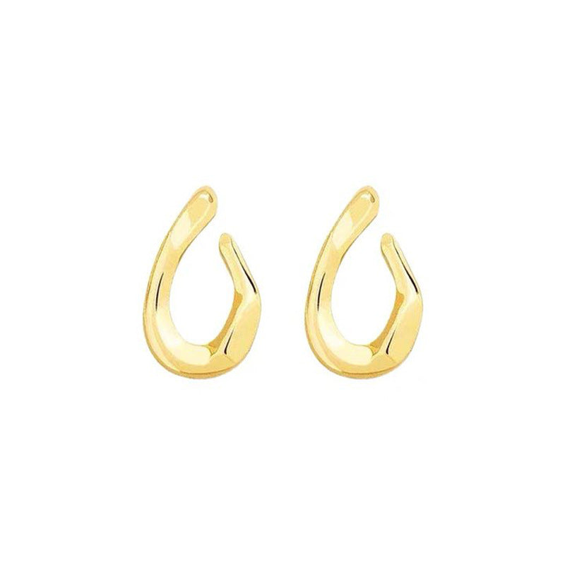 Twisted Metal Niche Exaggerated Cold Style Earrings