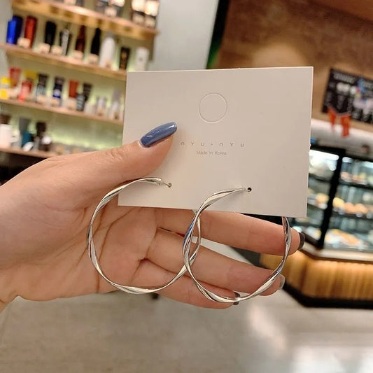 Sier Needle Temperament Female Personality Wild Earrings