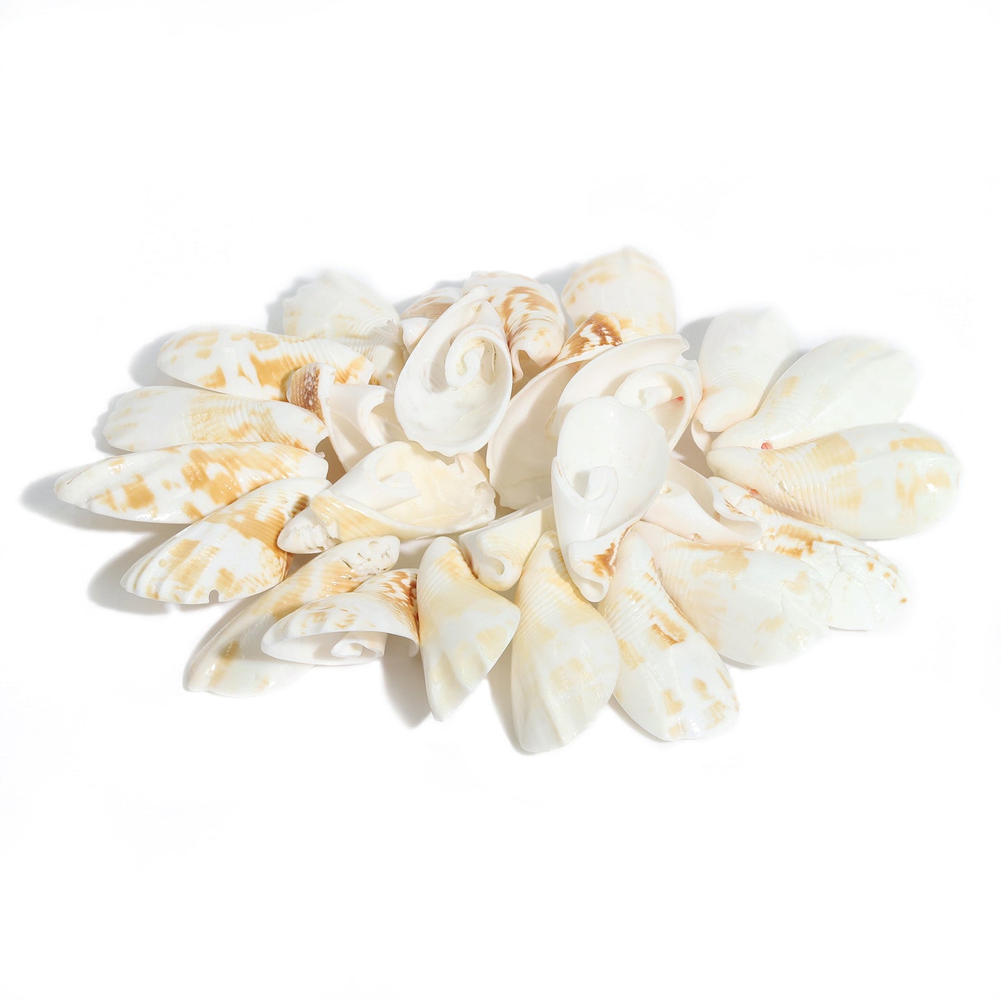Hawaiian Ethnic Shell Conch Handmade String Trendy Bracelet