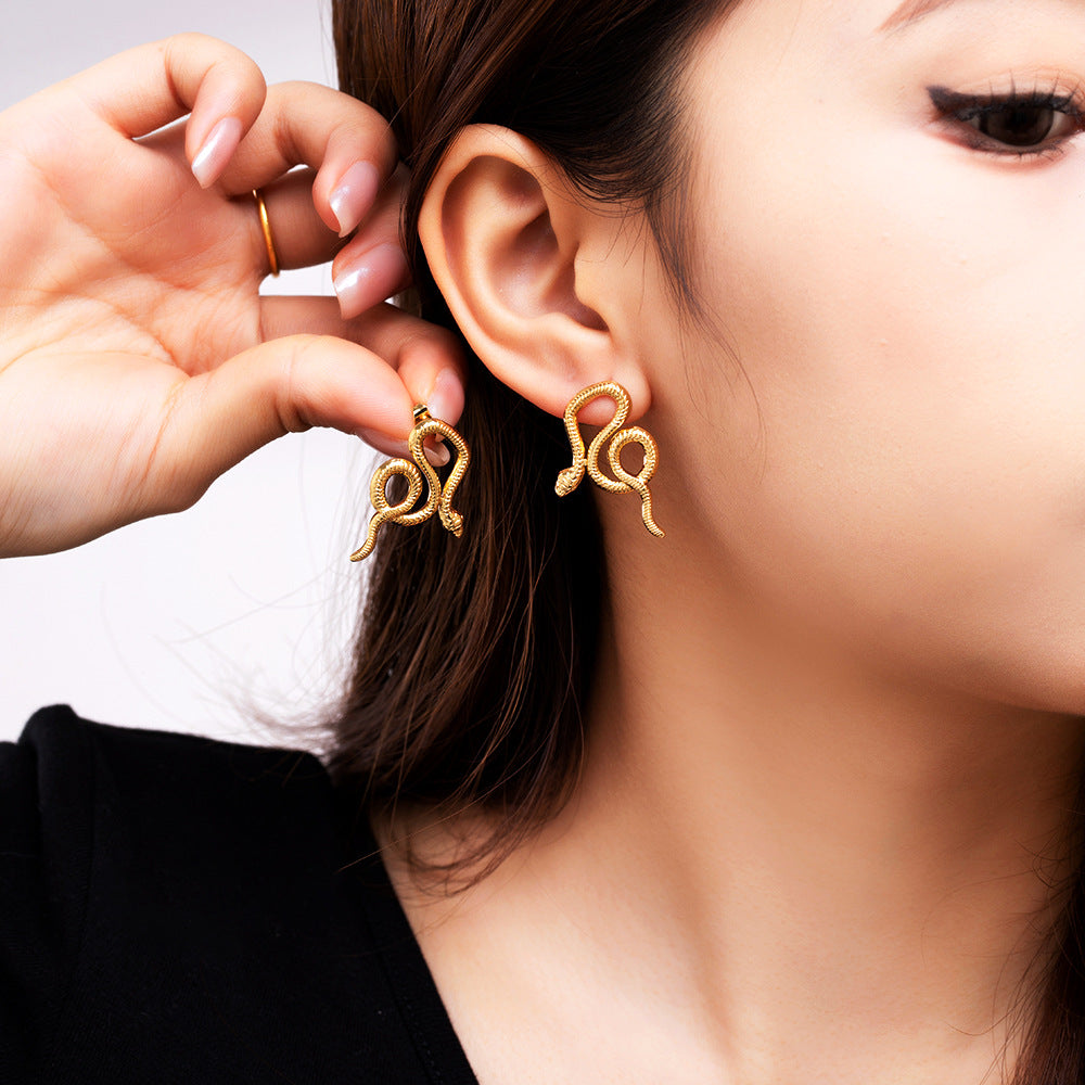 Trend Plating Metal Texture Simple Personality Earrings