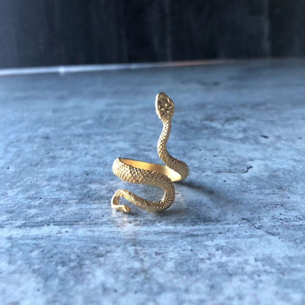 Personalized Exaggerated Snake Retro Punk Hip Ring