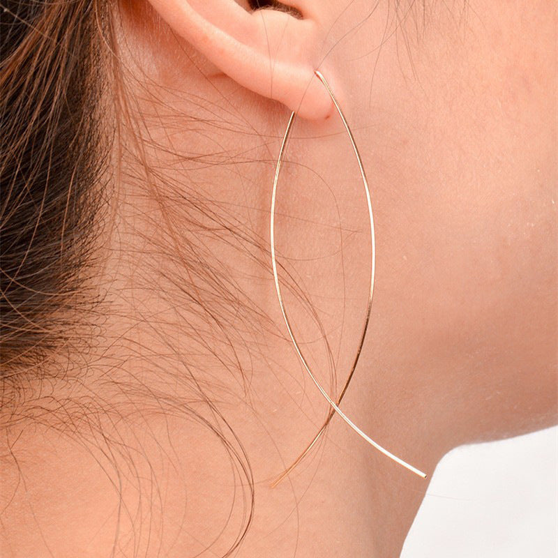 Ornament Fashion Abstraction Art Fishing Line Earrings