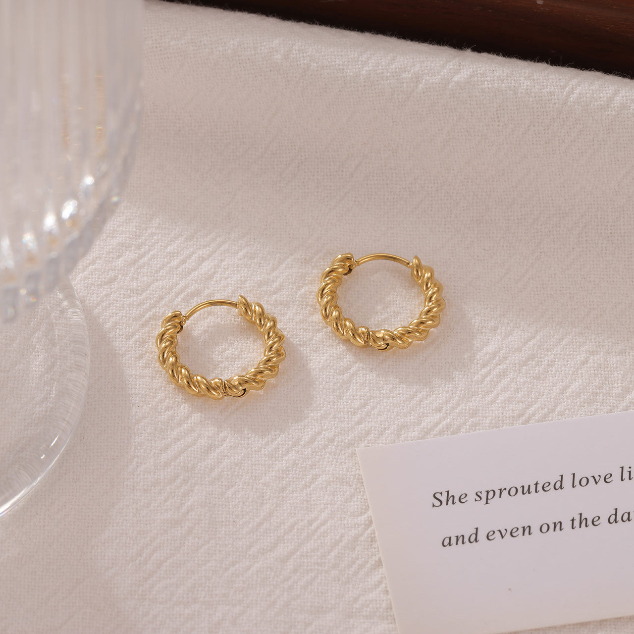 Women's Design Light Luxury High-grade Ear Clip Earrings