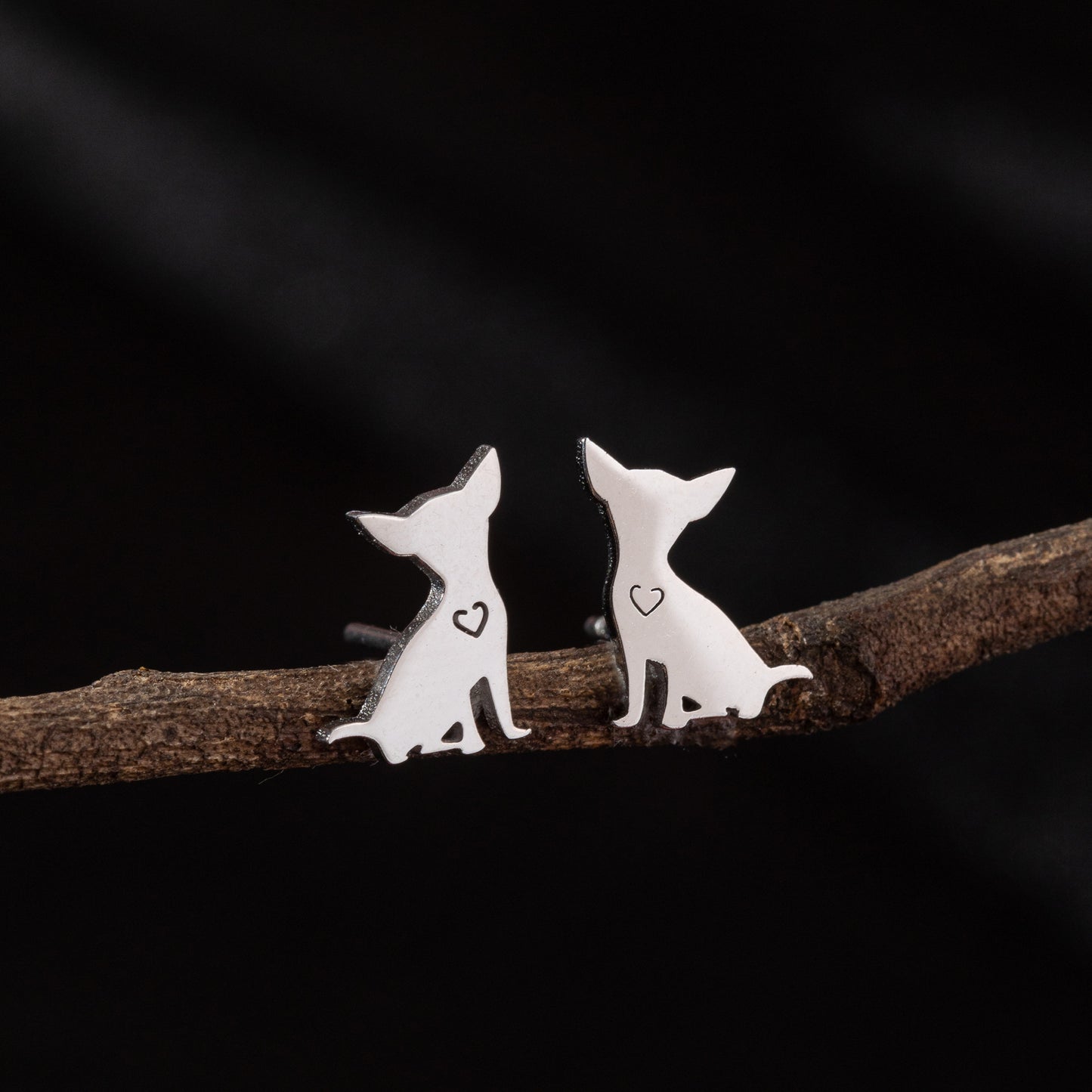 Stainless Steel Zodiac Puppy Style Small Earrings