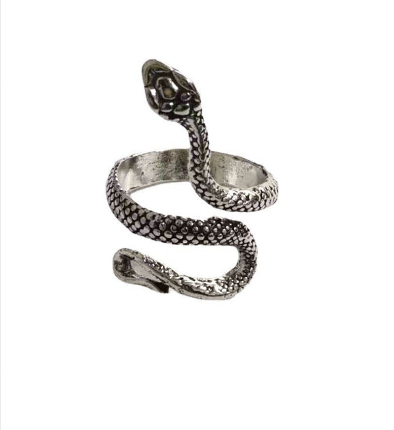 Snake Gothic Personality Zodiac Male Paint Rings