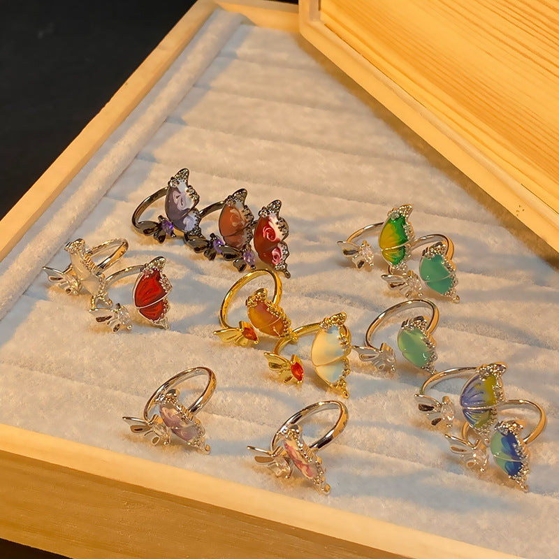 The Debris Series Gradient Female Design Rings