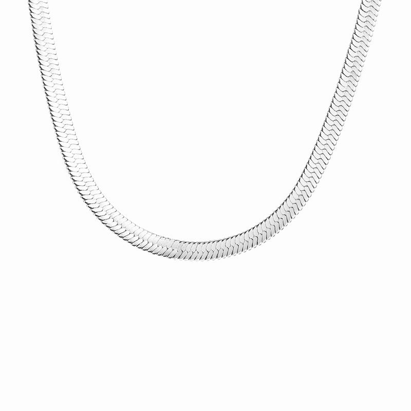 Women's Steel Snake Bone Twin Flat Blade Clavicle Necklaces
