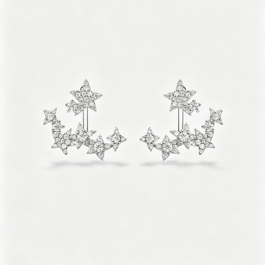 Where Shining Star Light Luxury Female Earrings